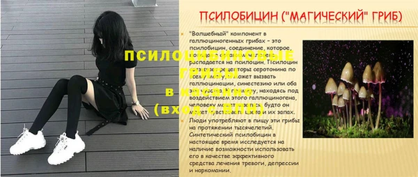 гидропоника Арсеньев