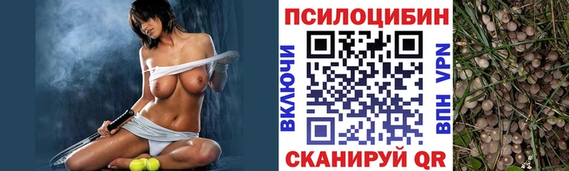 MEGA ССЫЛКА Чудово Галлюциногенные грибы мицелий
